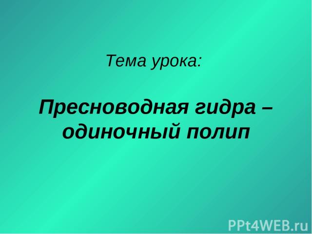 Кракен даркнет рекламы